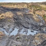 Off-road vehicles are damaging vital wildlife habitats near Muirkirk, according to NatureScot and Stanley Wright