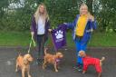 Sorn friends walk 50 miles over October for animal welfare charity