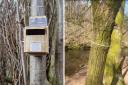 Bird boxes made by Catrine Primary pupils have been removed by vandals