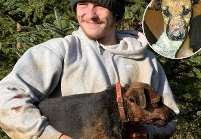 Sick animal abuser who laughed as animals were torn apart is jailed
