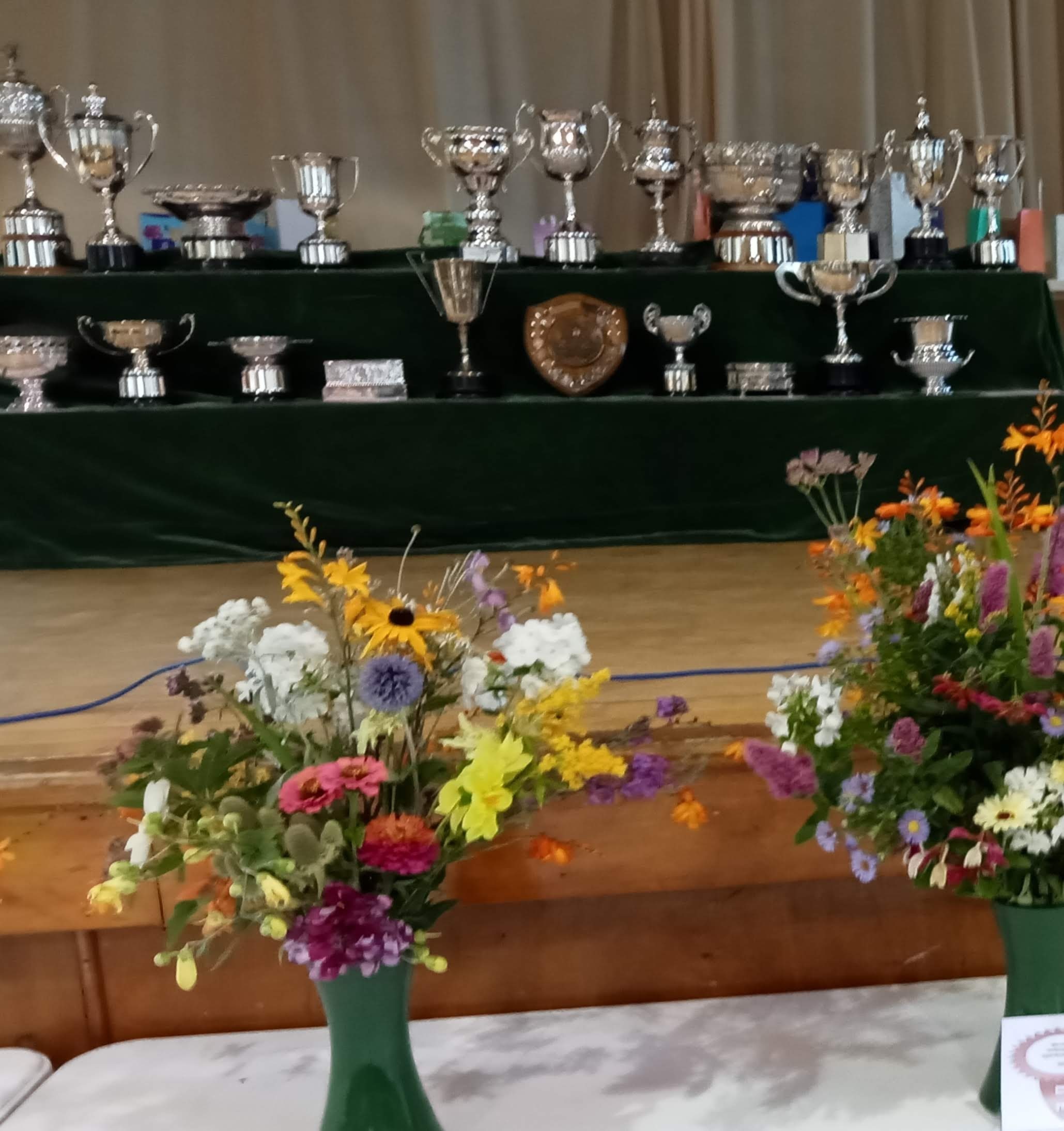 A splash of colour and plenty of silverware at the Mauchline Horticultural and Agricultural Societys annual show