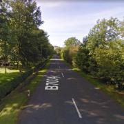 Pensioner dead after crash near Dalrymple