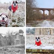 In Pictures: Winter arrives in East Ayrshire as frosty scenes snapped by locals