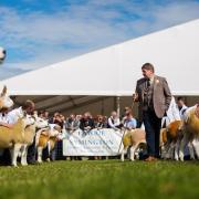 Four judges from Ayrshire will officiate at this year's Royal Highland Show at Ingliston
