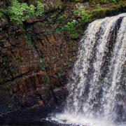 Dalcairney Falls