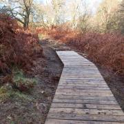 East Ayrshire Woodlands Project have given the route a new look.
