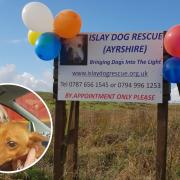 Lorraine Jardine, who runs Islay Dog Rescue, said that the centre is currently at full capacity.